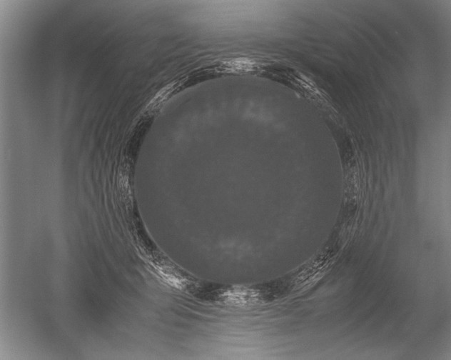X0000052630415200507081944