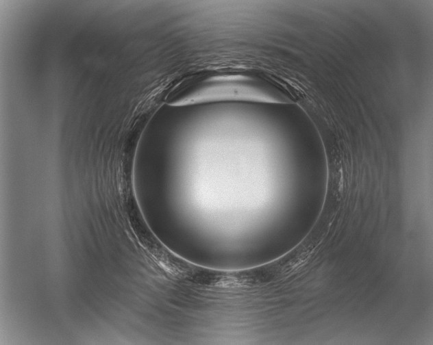 X0000052630416200507081944