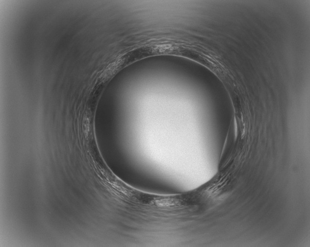 X0000052630417200507081944