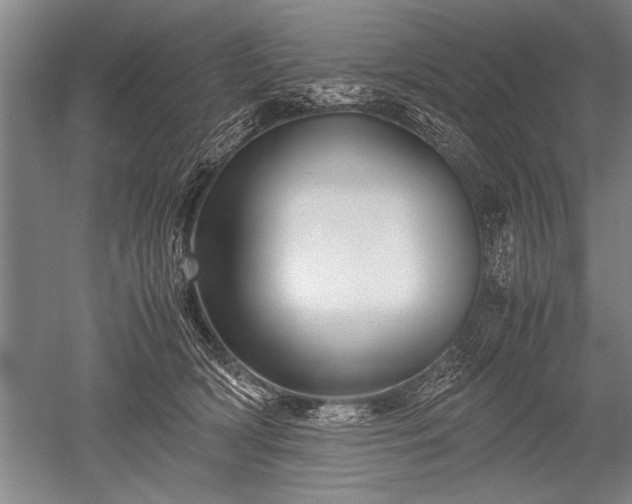 X0000052630418200507081944