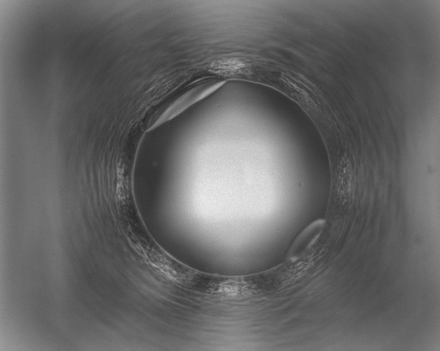 X0000052630420200507081944