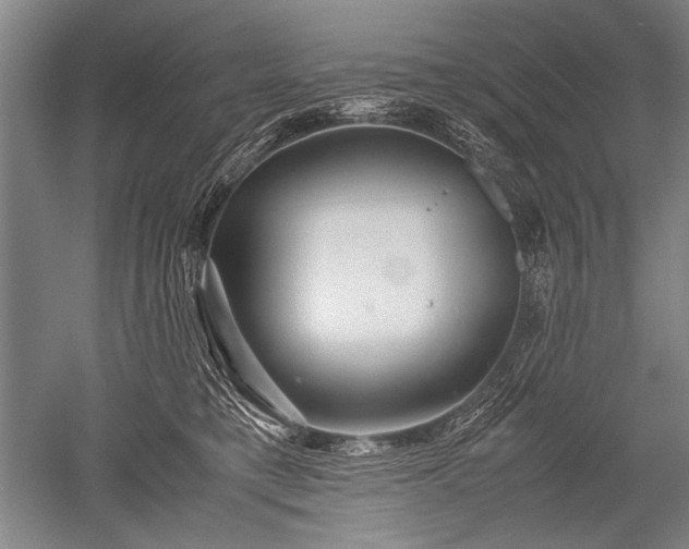 X0000052630421200507081944