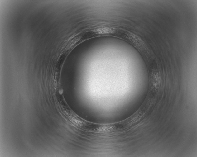 X0000052630422200507081944