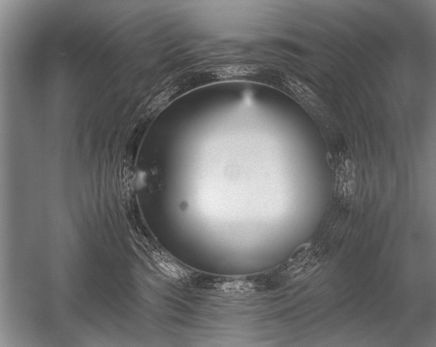 X0000052630426200507081944