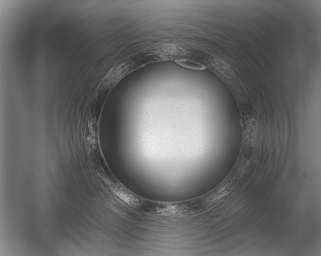 X0000052630430200507081944