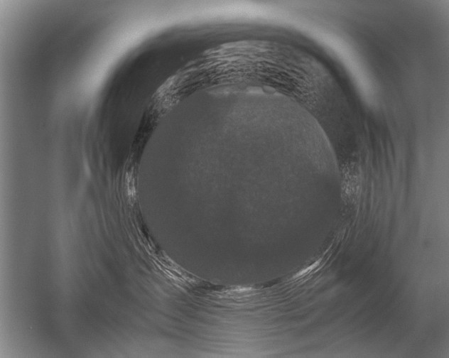 X0000052630431200507081944