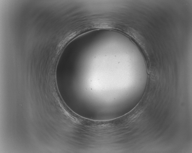 X0000052630433200507081943