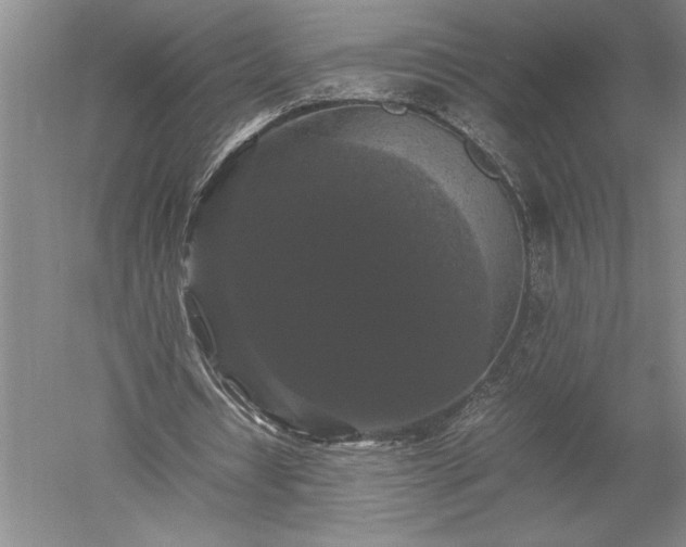 X0000052630434200507081943