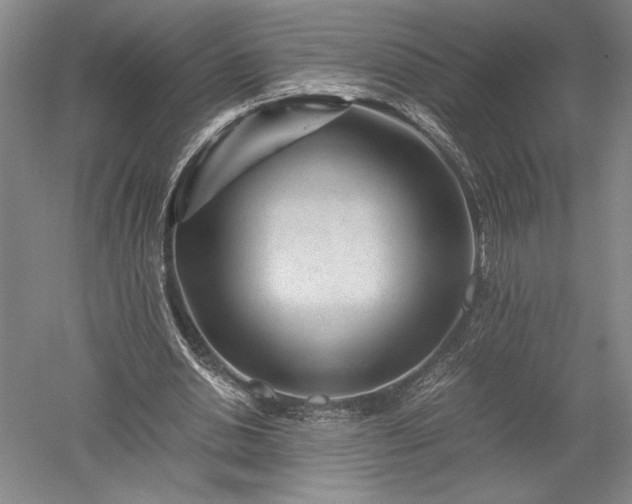 X0000052630438200507081943