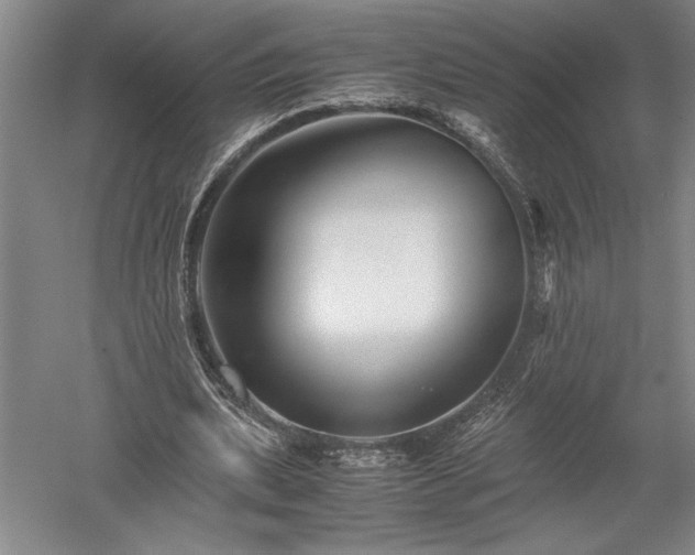 X0000052630439200507081943