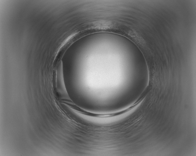 X0000052630440200507081943