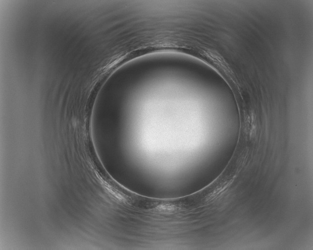 X0000052630441200507081943