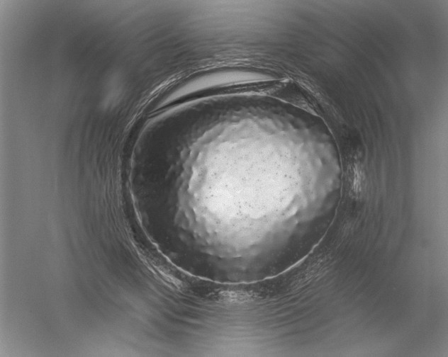 X0000052630442200507081943