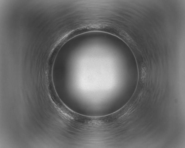X0000052630444200507081943