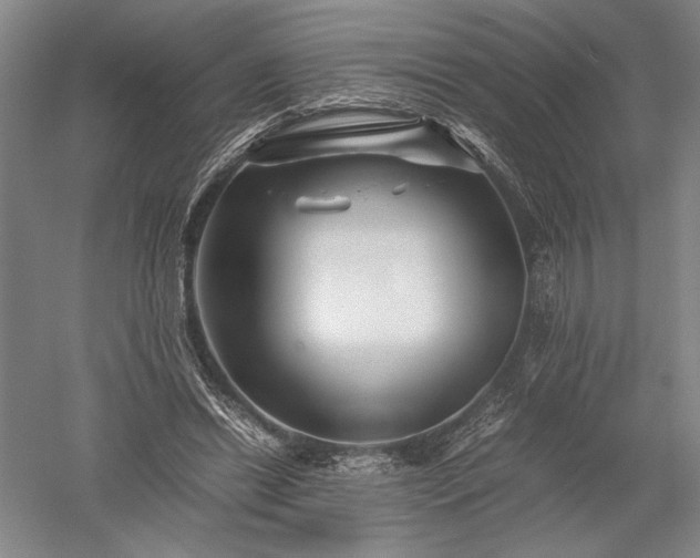 X0000052630446200507081943