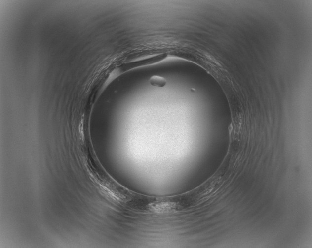 X0000052630452200507081944