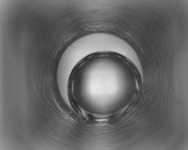 X0000052630456200507081944