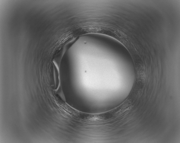 X0000052630460200507081944