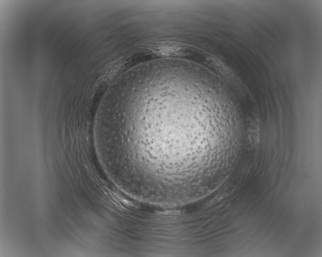 X0000052630461200507081944