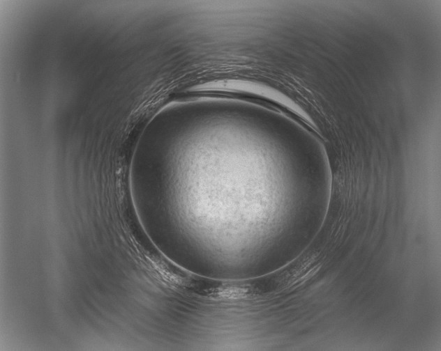 X0000052630462200507081944