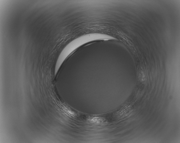 X0000052630467200507081944