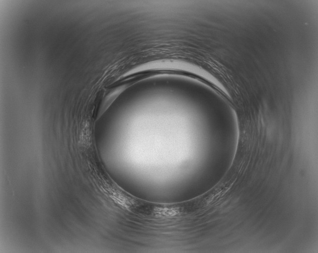 X0000052630469200507081944