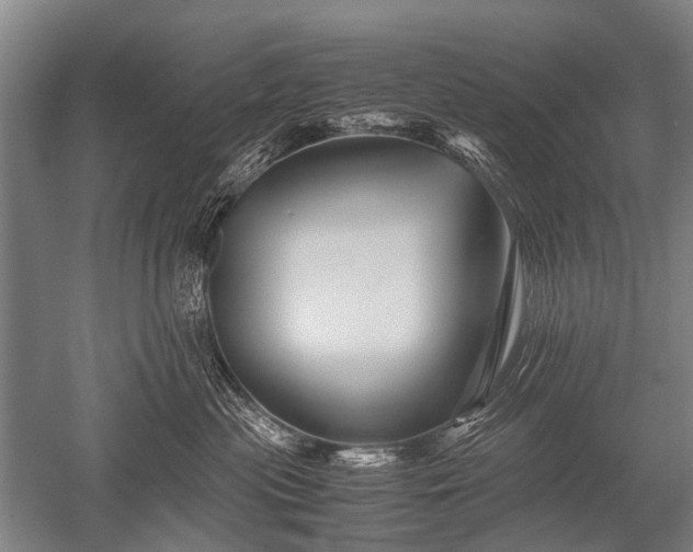 X0000052630477200507081944
