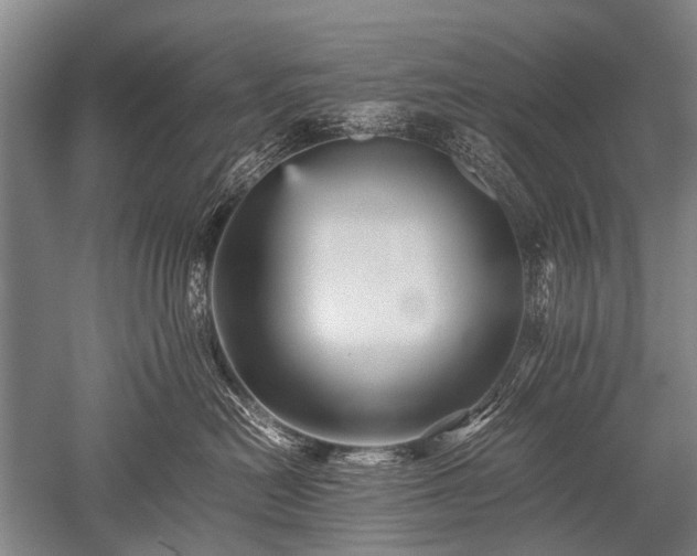 X0000052630478200507081944