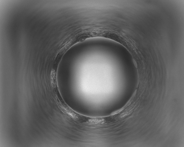 X0000052630480200507081944