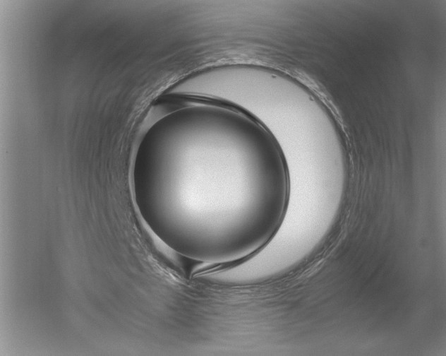 X0000052630481200507081943