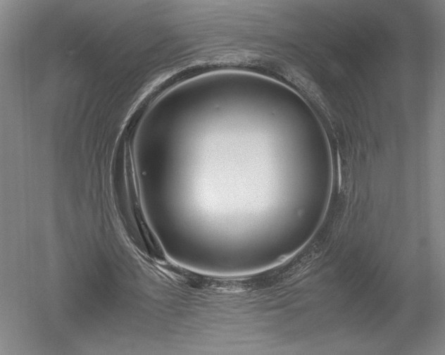 X0000052630483200507081943