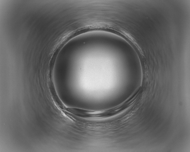 X0000052630485200507081943
