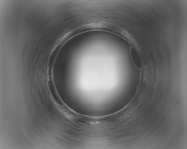X0000052630486200507081943