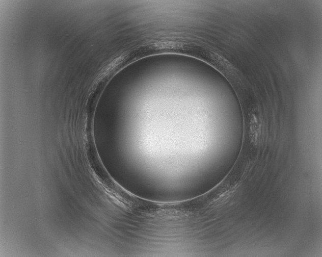 X0000052630490200507081943