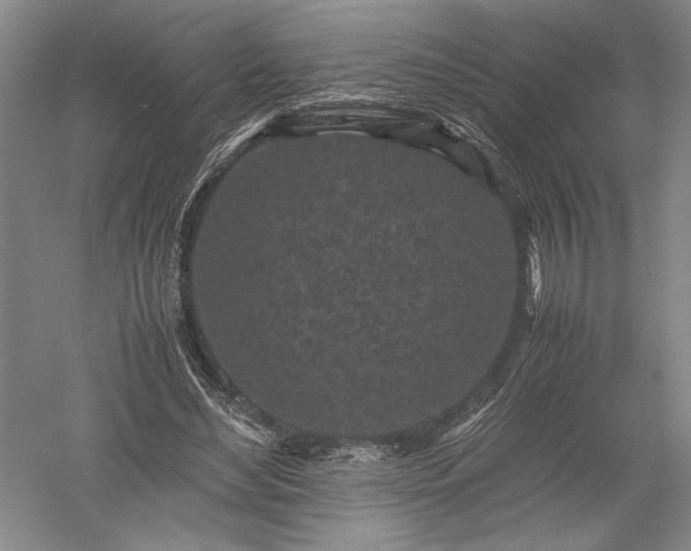 X0000052630492200507081943