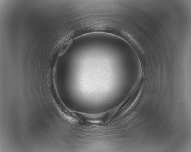 X0000052630493200507081943