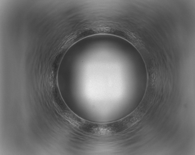 X0000052630498200507081943