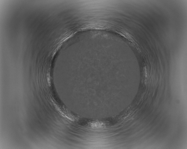 X0000052630500200507081943
