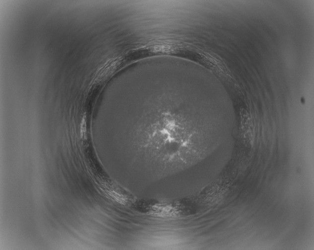X0000052630502200507081943