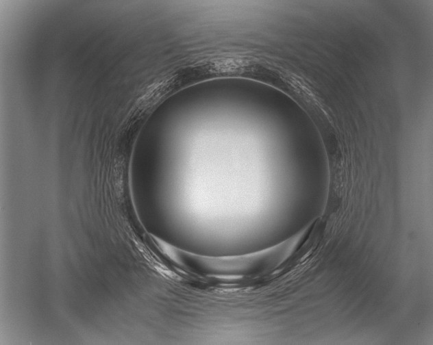 X0000052630505200507081943