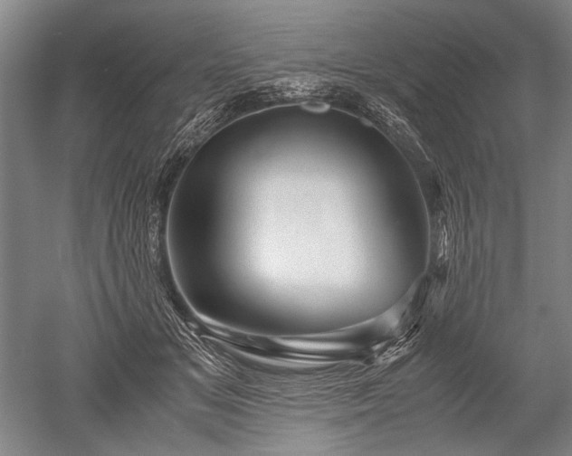 X0000052630509200507081943
