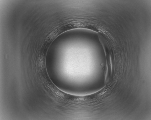 X0000052630513200507081943