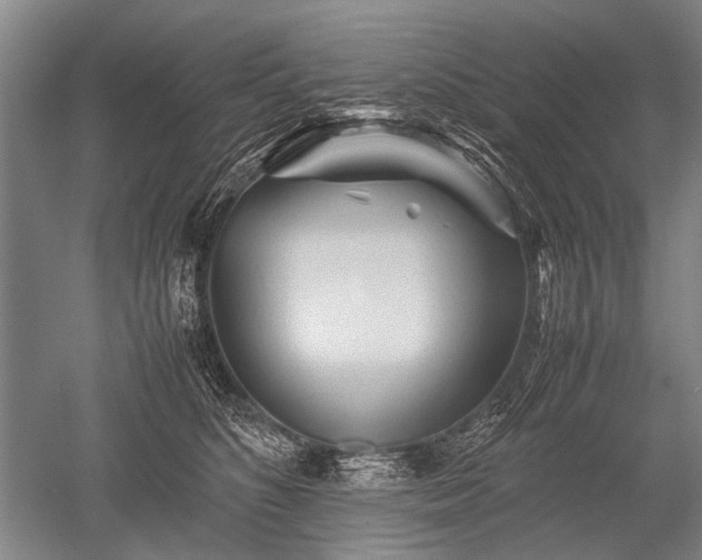 X0000052630516200507081943