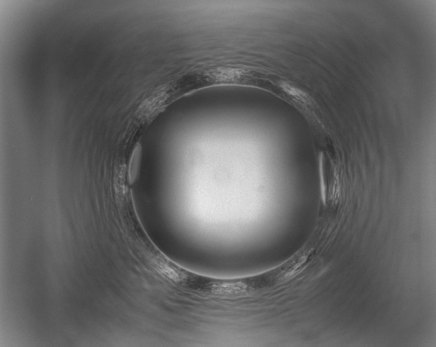 X0000052630525200507081943