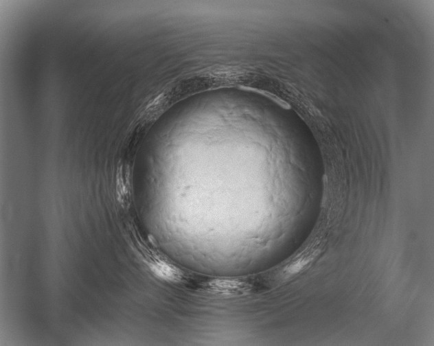 X0000052630528200507081942