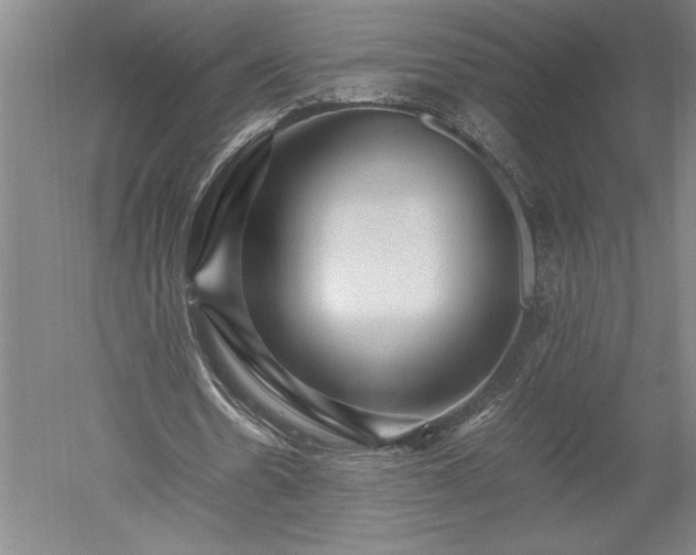 X0000052630530200507081942