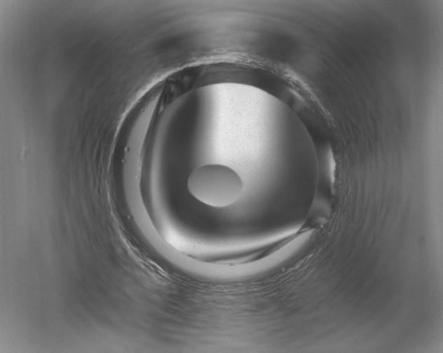 X0000052630532200507081942