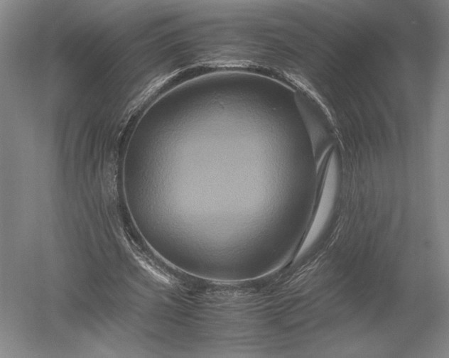 X0000052630533200507081942