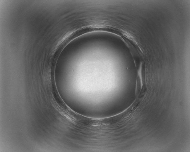 X0000052630535200507081942