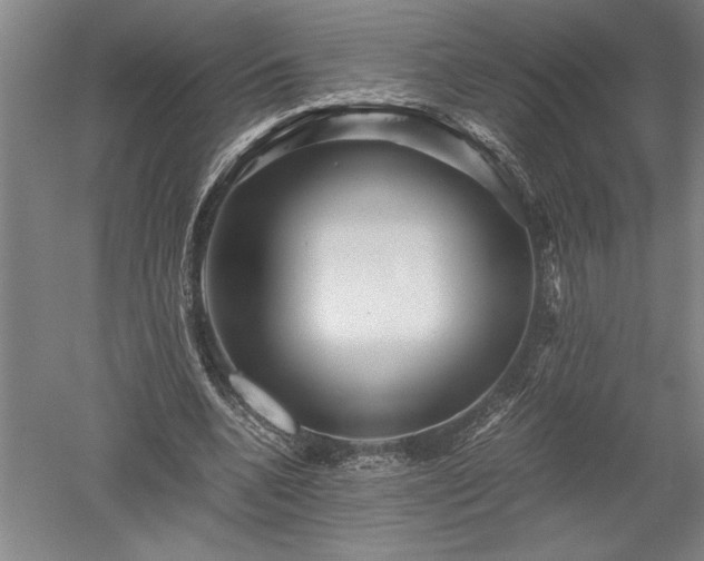 X0000052630536200507081942